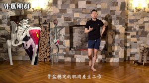 髖關節課程